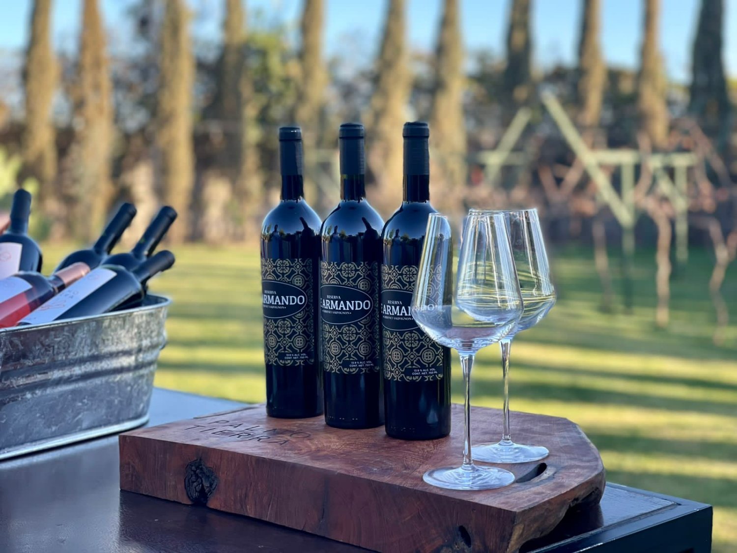 Vinos Reserva Armando frente al viñedo